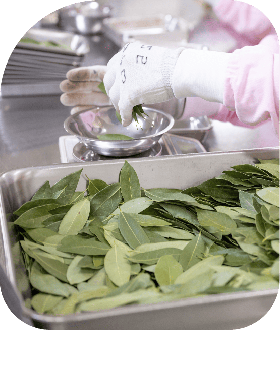 "輝ける場所がここにある"